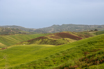 Green fields in the centre of island, Sicily, Italy