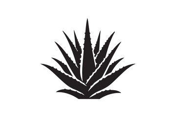 Alovera vector silhouette  70.eps
