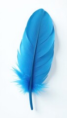 Single soft blue feather, fluffy texture, white background, light, texture, down