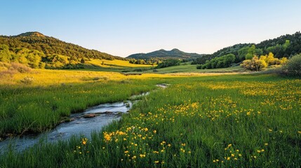 Fototapeta premium Serene valley landscape at sunset with wildflowers and creek.
