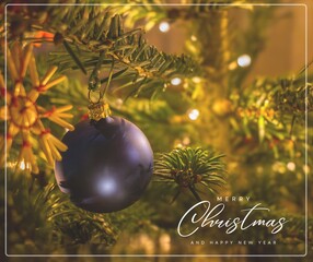 Merry Christmas and Happy New Year - 