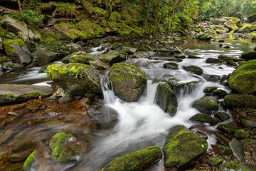 Fototapeta premium Long exposure of the east Lyn river flowing through the woods at Watersmeet in Exmoor National Park