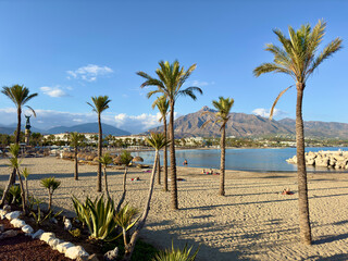 panorama view of the Playa Puerto Banús beach with palms and a view towards the Pico de la Concha...