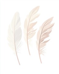 Obraz premium Soft, delicate feathers in white and pastel tones bring a serene and calming vibe to any decor.