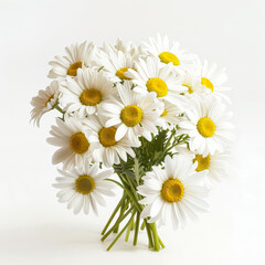 Fototapeta premium Bouquet of white daisies with yellow centers.