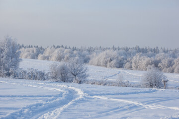 winter landscape with snowy fields and forest covered with hoarfrost in a frosty haze