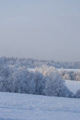 winter landscape with snowy fields and forest covered with hoarfrost in a frosty haze