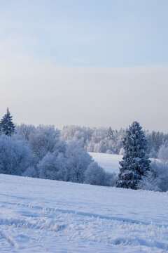winter landscape with snowy fields and forest covered with hoarfrost in a frosty haze