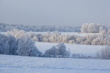 winter landscape with snowy fields and forest covered with hoarfrost in a frosty haze