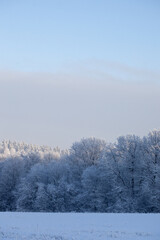 winter landscape with snowy fields and forest covered with hoarfrost in a frosty haze on blue sky background