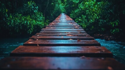 Obraz premium Wooden path through lush green jungle.