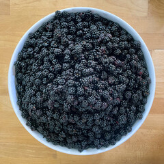 Saladier de mûres fraîches, sauvages et juteuses, gorgées de soleil