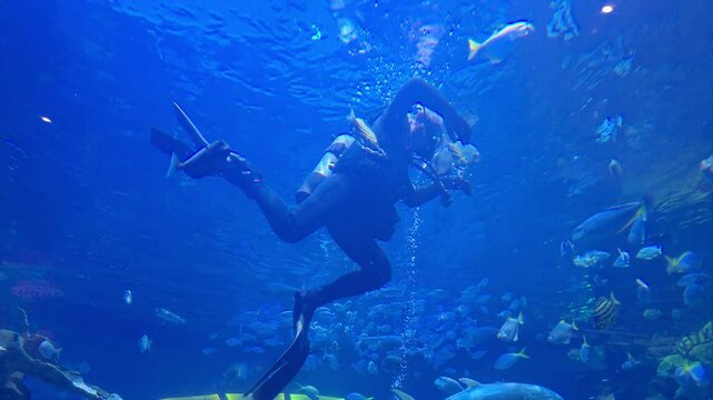 Underwater diver perform tasks in an aquarium 