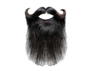 Long black beard isolated on white background, cut out 