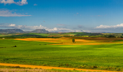 Fields, towns, villages, and rivers of the Pyrenees