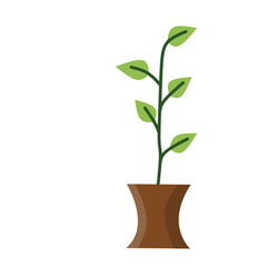 A simple illustration of a potted plant with a green stem and several branches, each bearing green leaves. The brown pot has a slightly curved shape, suitable for educational or decorative purposes.