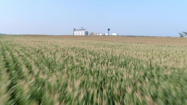 Fast moving drone shot over corn fields in South Dakota with Ethanol plant in the background.