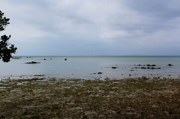 Low tide of a bay and horizon view of Ishigaki Island 