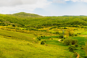 Fields, towns, villages, and rivers of the Pyrenees