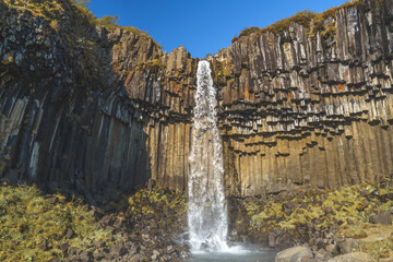 Svartifoss waterfall surrounded by striking basalt lava columns in Skaftafell, Vatnajökull...
