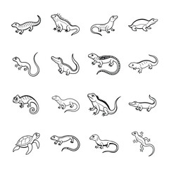 Fototapeta premium Beaded Lizard simple line art for Reptile Enthusiasts