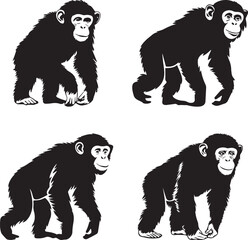 silhouette of chimpanzee on white background