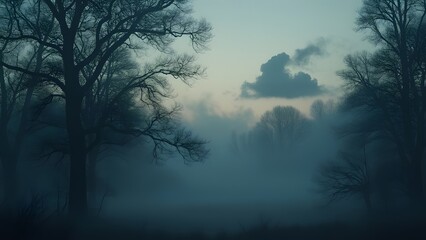 Obraz premium Mystical Misty Forest Evening, Silhouette Trees, Fog, Smoke, and Low Cloud