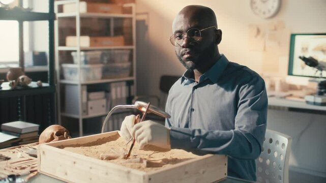 Black male archaeologist cleaning bones in wooden box with excavation tools, then posing on camera at workplace in laboratory. Video portrait