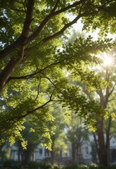 Fototapeta premium Dappled light filtering through leaves of a tree, sunlight, leaves