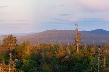 View to woodland and fells in the distance during a summer night in Salla National Park, Northern Finland	