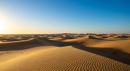Vast desert landscape.  Sunrise or sunset hues on wavy sand dunes.  Arid and sandy.  Wind patterns visible.