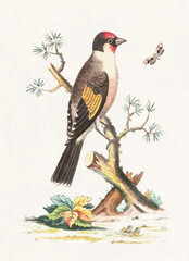 Digital Bird Illustration. A graceful digital painting of a bird on a rustic beige background with soft textures, blending elegance and natural charm.