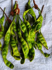 fresh stink beans. In Indonesia it is called 