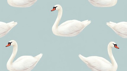 Obraz premium Seamless pattern of elegant white swans on a light blue background.