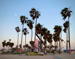 Beach with Palm Trees at Dusk (Venice Beach, California, USA)
