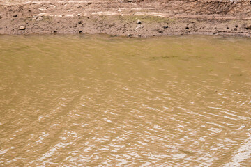 photo of the brown color of the water on the river bank