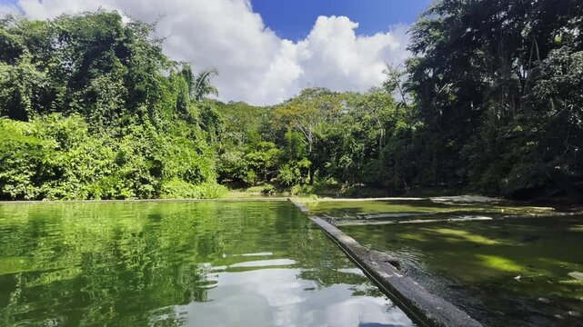 Amazonia at Pucallpa Ucayali Peru. Boiling river Mayantuyacu