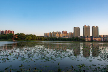 Fototapeta premium The rivers, trees, and skyline of urban parks in the sunset glow