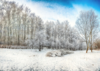 Picturesque landscape with snow-covered trees in the city park.