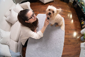 Woman bonding with her dog through grooming
