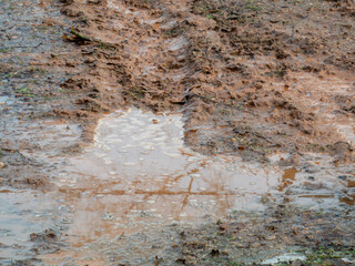 Tire tracks through the mud puddle.
