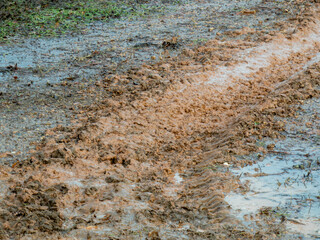 Muddy tire tracks in the gravel