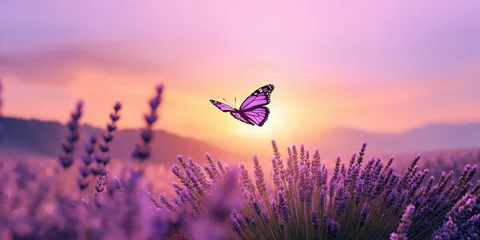 Purple butterfly flying over lavender field at sunset, inspiring nature background