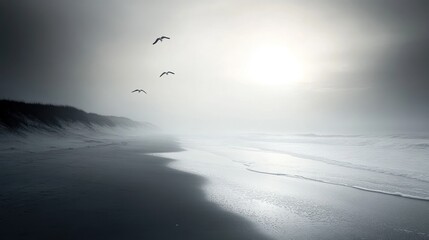 Obraz premium Serene coastal scene with birds in flight, hazy sunlight, and calm waves on a sandy beach.