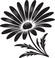 Black and white flower