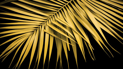 Obraz premium Golden Palm Frond on Black, Tropical Elegance, Nature's Golden Hues Shine against Dark Background, Exquisite Detail.