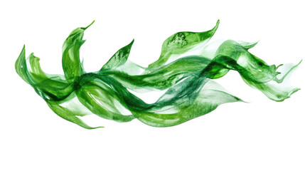 paint smear transparent background