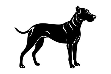 Silhouette of a Catahoula Leopard Dog with a Strong Muscular Build