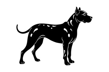 Silhouette of a Catahoula Leopard Dog with a Strong Muscular Build