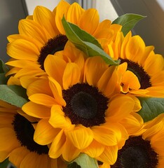 bouquet of sunflowers © Zosia